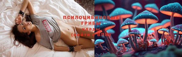 таблы Алексеевка