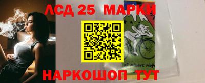 крисы Новокубанск