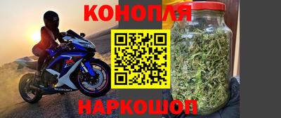 крисы Новокубанск