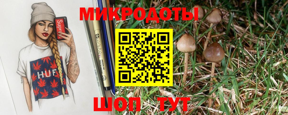 Галлюциногенные грибы Psilocybe Геленджик