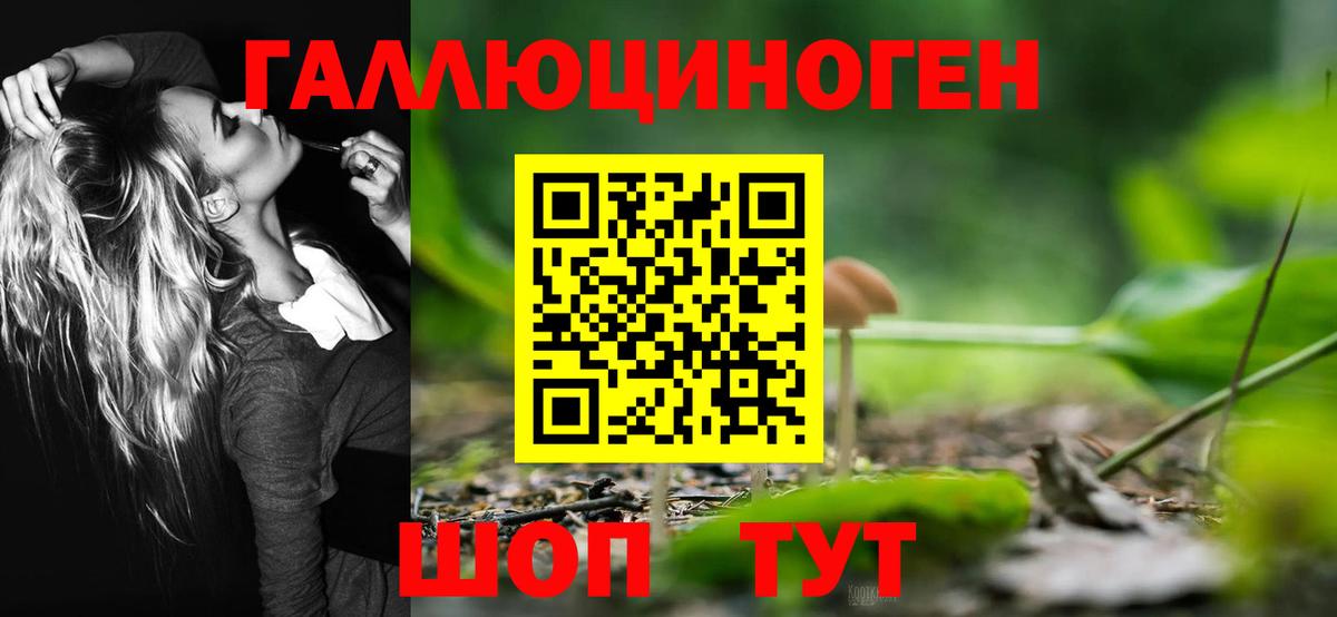Геленджик  Псилоцибиновые грибы Psilocybe  Вход с VPN  Галлюциногенные грибы мухоморы 